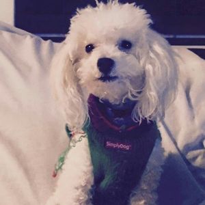 Meet your Posher, Kate